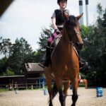 Galérie photo de la page d'accueil - Haras de Klasalys Club d'équitation