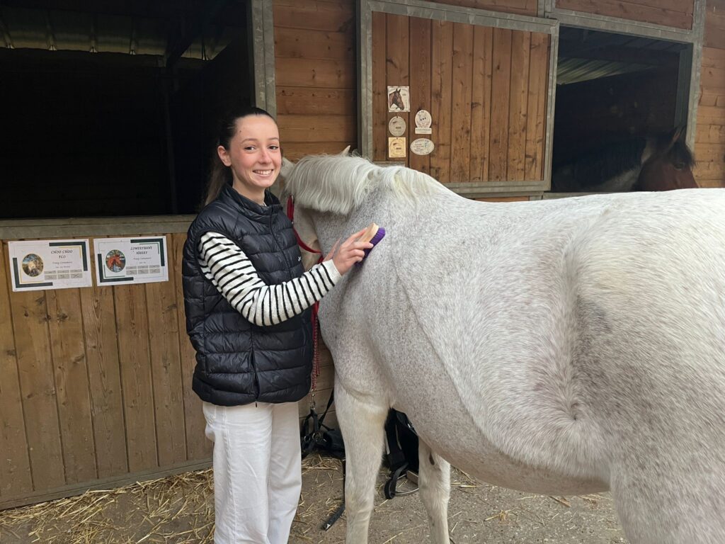 Image de la page notre histoire du clun d'équitation les haras de klasalys