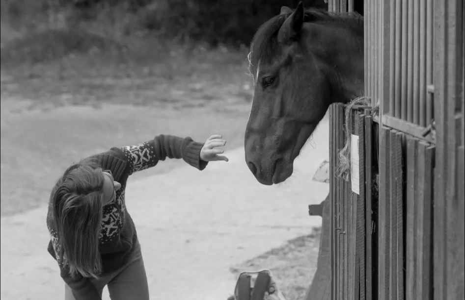 Image de notre histoire et les animations proposés par notre club d'équitation - les haras de klasalys