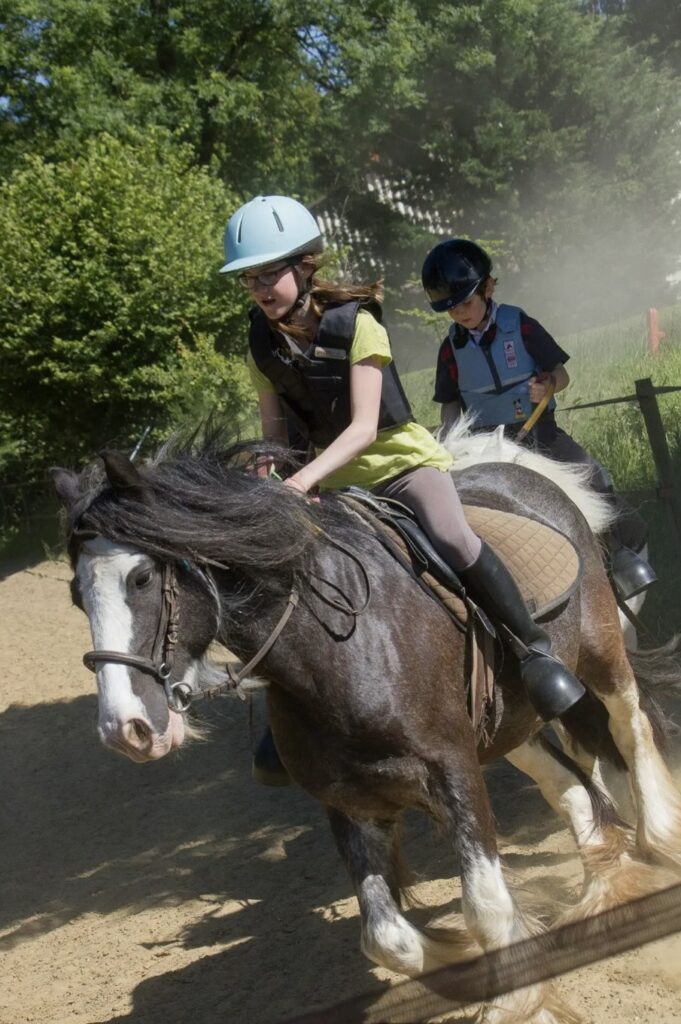 Image pour des portes ouvertes de nos dates importantes de notre club d'équitation - haras de klasalys