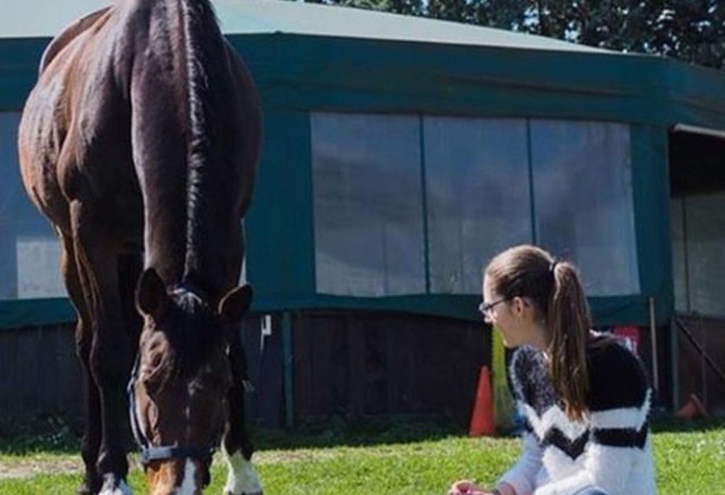 Image des compétitions équestres du club d'équitation les Haras de Klasalys